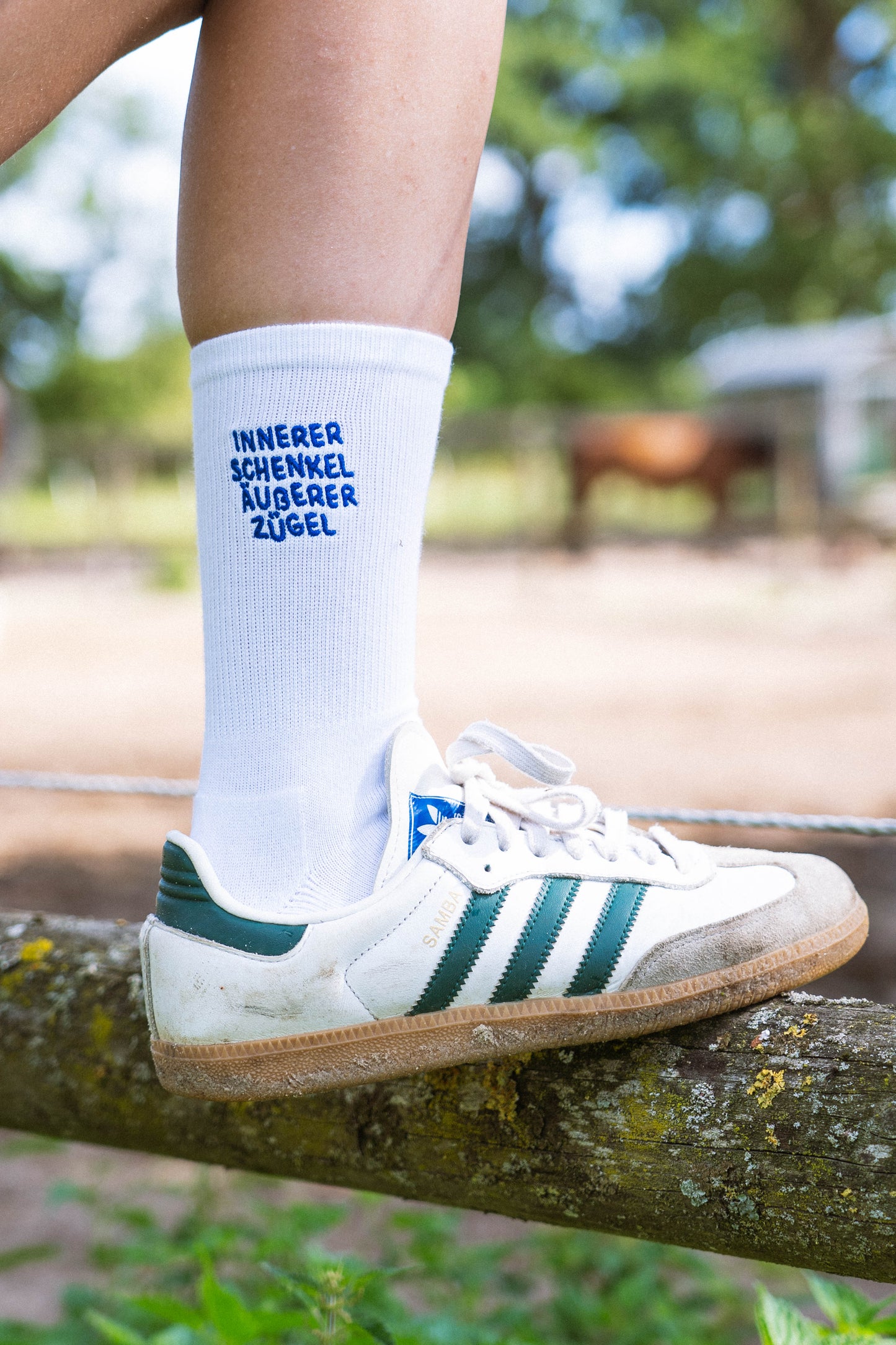 Socken "Innerer Schenkel"
